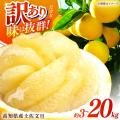 【高知市ふるさと納税】寄附額11億9,588万円で過去最