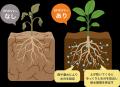 『DEEP VALLEY Agritech Award 2024』最優秀賞受賞企
