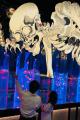 「【続】怪・金魚美術館~暗闇に潜むのは~」大好評の 「【続】怪・金魚美術館~暗闇に潜むのは~」大好評の