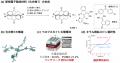 特異な非平面形状を有する電子輸送材料を開発～utf-8