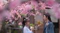 中国ドラマ7作品をU-NEXTで独占先行配信！『異能の執