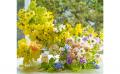 人気風水師・李家幽竹さんによる『李家幽竹 花風水カ