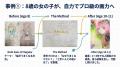 AI依存への懸念を解決。「考える力」は“あった方がい