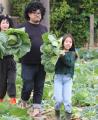 千葉県銚子市産の規格外「アフロきゃべつ」を使用した