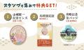 10の山城を制覇して、「名将」の称号を手に入れよう! 10の山城を制覇して、「名将」の称号を手に入れよう!