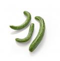 猛暑や豪雨など天候要因で発生する「もったいない野菜