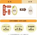 【新発売】ファンケルの国産発芽玄米を100%使用（※1）