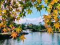【期間限定開催】京都 東本願寺＆渉成園 早朝参拝特別