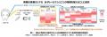 ALOOP CLINIC & LABの山崎研志院長が日本美容皮膚科学