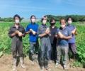 サラダクラブ「旬を味わうサラダバターナッツかぼちゃ