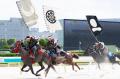 国指定重要無形民俗文化財『相馬野馬追(そうまのまお