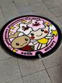 宇都宮市制１３０周年及び「ミヤリー」の生誕２０周年