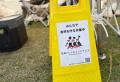 【絶景日帰り温泉　龍宮殿本館】近隣エリア限定「地域