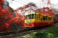 標高500mの絶景×紅葉 【高尾山ビアマウント】で秋の味
