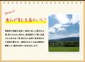 【新商品】旅するシリーズ！蒟蒻畑福岡あまおう苺味9