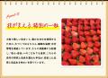 【新商品】旅するシリーズ！蒟蒻畑福岡あまおう苺味9