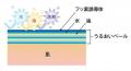 ファン待望。歴代人気の限定の香り3種が一斉復活。