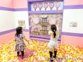 名探偵プリキュア！ いっしょになぞとき！ はなまるか
