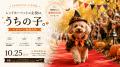 ハロウィン ドッグ イベント“ 愛犬と健康に♪ ” 鼻・頭