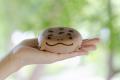 【京都水族館】ミミクリーアイテムを通じオオサutf-8