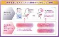 高まる鉄分ケアニーズに応える日本初基準最大量鉄分10