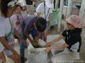 “さかなのおにいさん かわちゃん”監修！アニマルエデ