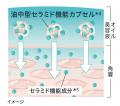 敏感肌用化粧品売上No.1*¹の「Curel（キュレル）」か