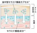 敏感肌用化粧品売上No.1*¹の「Curel（キュレル）」か