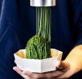 【2026年9月2日オープン】西尾抹茶専門ブランド「抹茶
