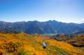 立山黒部アルペンルート、全10箇所の最新紅葉情utf-8