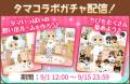 「タマ＆フレンズ～うちのタマ知りませんか？～」と 