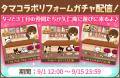 「タマ＆フレンズ～うちのタマ知りませんか？～」と 