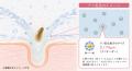 【五島の椿】自然の力で“するん”とオフ。うるおい逃さ