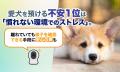 愛犬を預ける不安1位は「慣れない環境でのストレス」