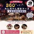 約350店舗集結！国内最大級のわんちゃんと楽しむ夏ま