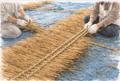 食・自然・アートが調和する約14haの体験拠点「京都・
