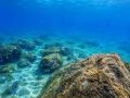 夏はまだまだ終わらない！9月1日より御座白浜でご宿泊