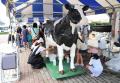 【栃木県那須塩原市】那須の味覚が大集合！「Viehfest