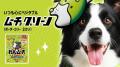 【わんこ戦隊始動！】日本ペットフード×湖池屋共同開