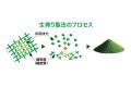 植物性乳酸菌100億個を加え「生搾り青汁」が9月1utf-8