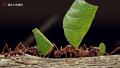 丸山宗利、日本語版監修！美しき写真で迫る、楽しく深