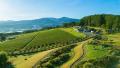 NIKI Hills WineryのフラッグシップワインHATSUYUKI、