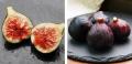 真っ黒な皮ごと、まるごと。フランス原産の黒いちじく