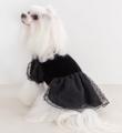 ペテモから愛犬用アパレルブランド「Amour et Pattes