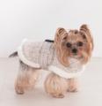 ペテモから愛犬用アパレルブランド「Amour et Pattes