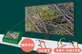 2026 秋の企画展「デジタルでみる 東京自然いきもの展