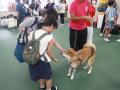 【学校法人立志舎】小学生に向けて「夏休み自由研究 