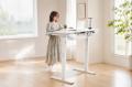 FlexiSpot、「座る・立つ」に加え、電動で「傾ける」 FlexiSpot、「座る・立つ」に加え、電動で「傾ける」