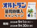 アプリからのエントリーで更にお得にポイント追加のチ