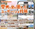 ドッグフレンドリーな店舗・施設・イベントなどの各種